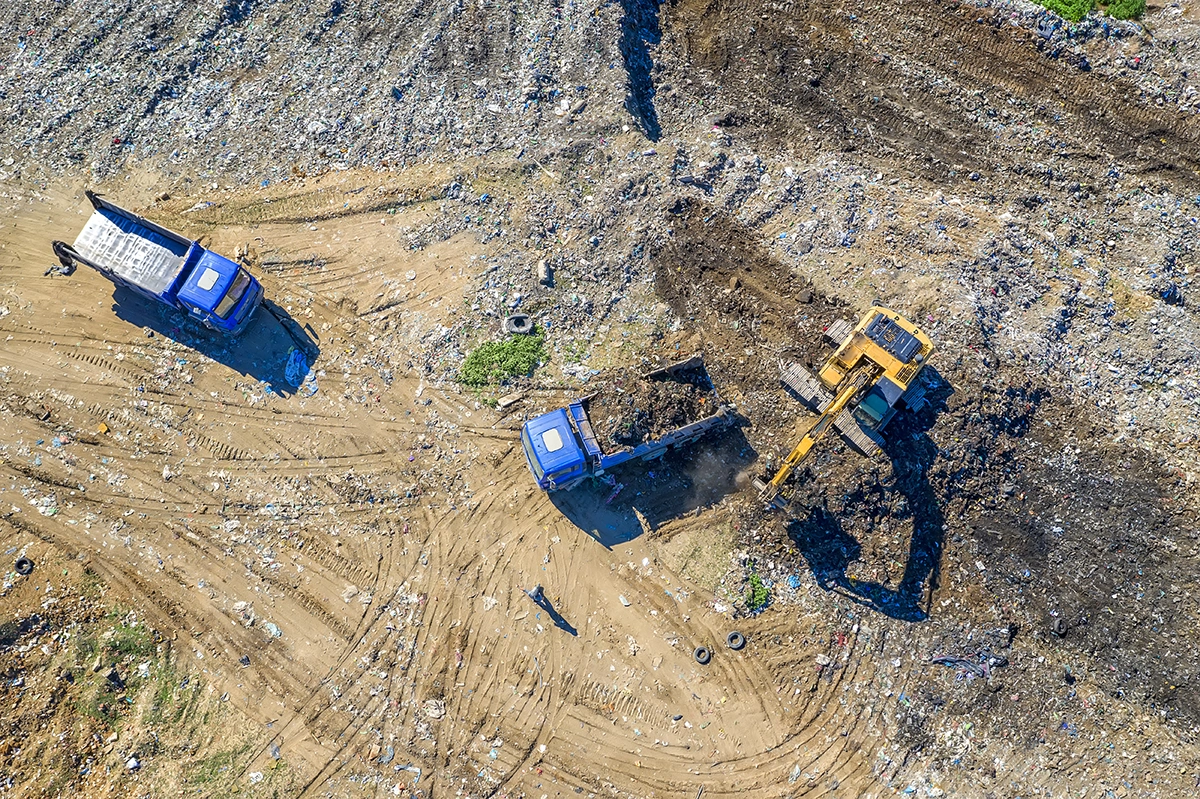 land-clearing