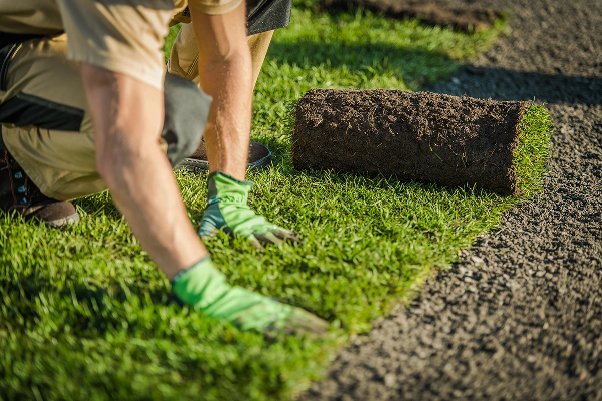 sod-installation